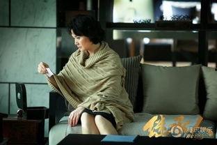 无土影继承人爆料视频,揭秘神秘家族传承之谜